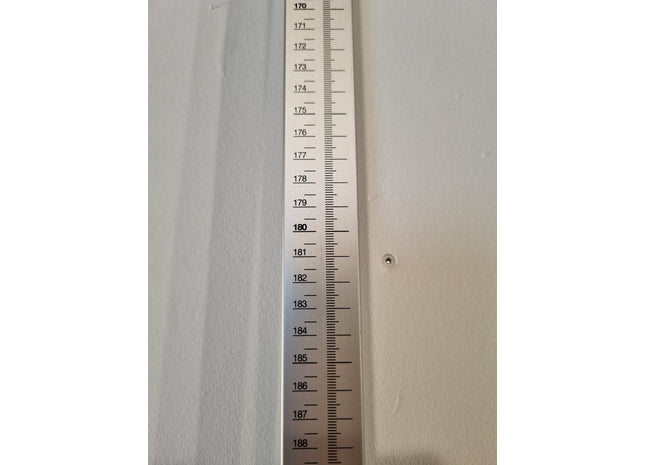 Seca Wall-Mounted Stadiometer