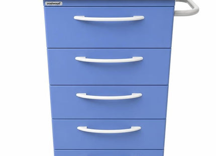 Oostwoud Medical Trolley #04